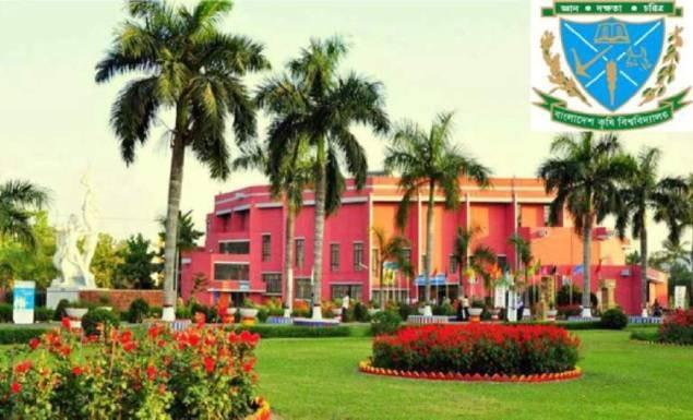 বাংলাদেশ কৃষি বিশ্ববিদ্যালয়ে বড় নিয়োগ, পদ ১২৫, আবেদন শেষ ৩১ মার্চ