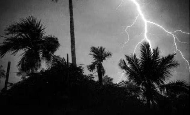 সুনামগঞ্জে ধান কাটার সময় বজ্রপাতে পাঁচ কৃষকের মৃত্যু