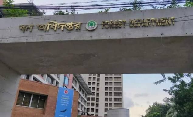 ৩৮২ ফরেস্টার নিয়োগ দেবে বন অধিদপ্তর