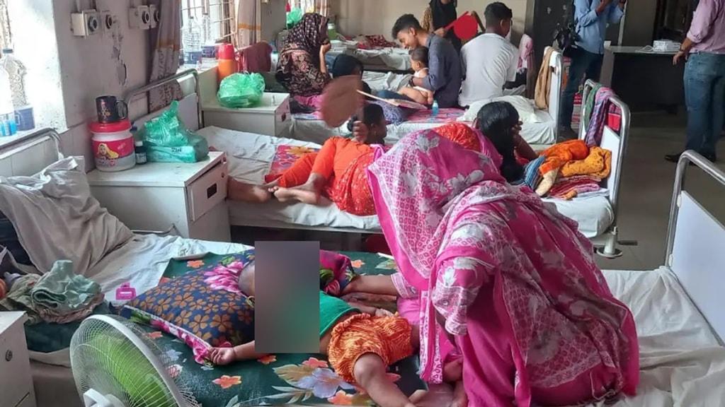 হামের উপসর্গ নিয়ে আরও ৮ জনের মৃত্যু