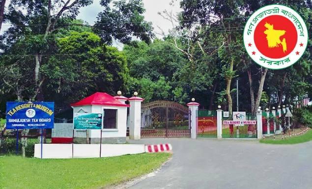 ব্যবস্থাপক নিয়োগে বিজ্ঞপ্তি বাংলাদেশ চা বোর্ডে, আবেদন ৩১ আগস্ট পর্যন্ত