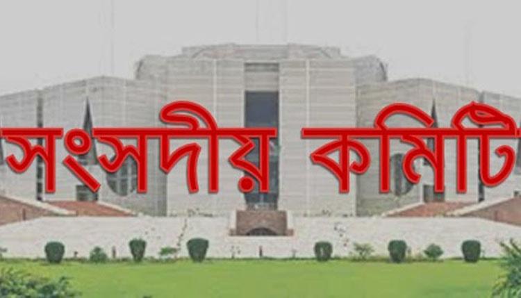 সংসদীয় স্থায়ী কমিটি কী, সভাপতি পদ নিয়ে এত বিরোধ কেন