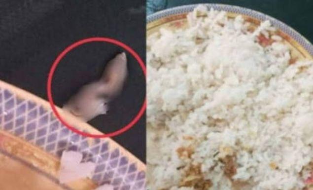 নজরুল বিশ্ববিদ্যালয়ের হলের ডাইনিংয়ের খাবারে মিলল সেদ্ধ টিকটিকি